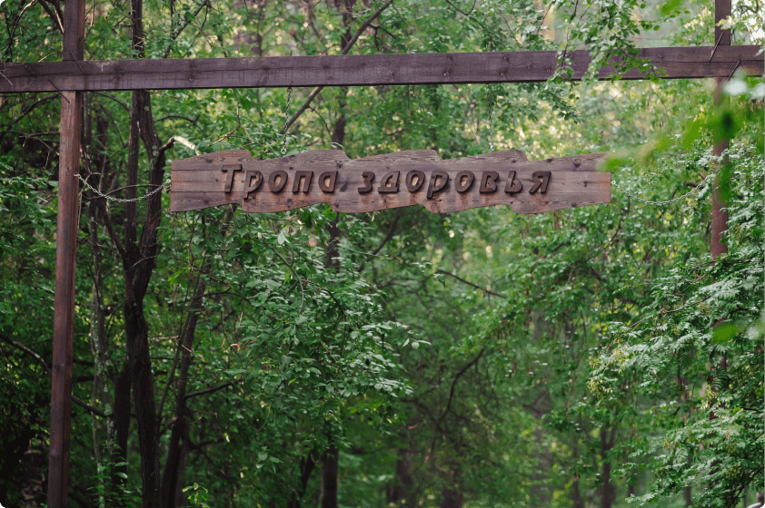 Парки и аллеи. Юго-Западный лесопарк