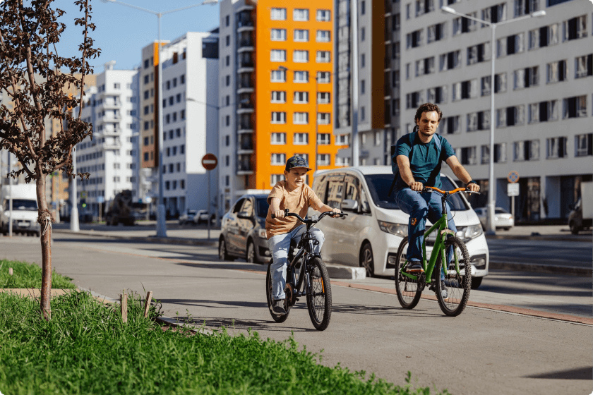 Парки и аллеи. Аллеи и велодорожки