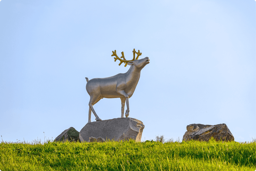 Символы района. Северный Олень